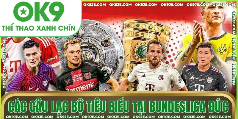 Các câu lạc bộ tiêu biểu tại Bundesliga Đức Các câu lạc bộ tiêu biểu tại Bundesliga Đức