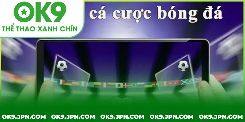 Lý do cần đưa ra quy định chặt chẽ trong luật cá độ bóng đá là gì Lý do cần đưa ra quy định chặt chẽ trong luật cá độ bóng đá là gì